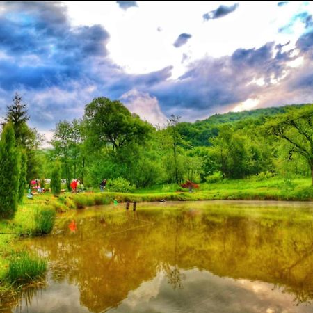 Pensiunea Cerbul - Valea Dobarlaului Bagian luar foto