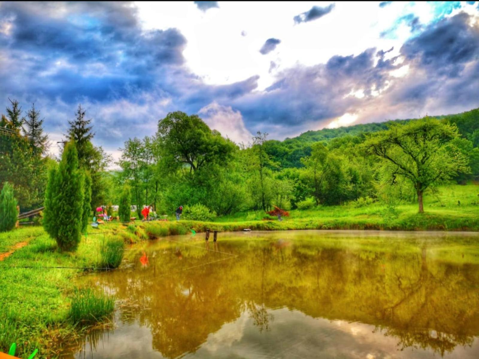 Pensiunea Cerbul - Valea Dobarlaului Bagian luar foto