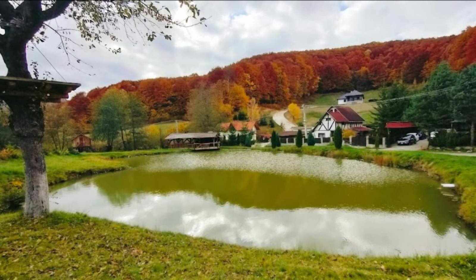Pensiunea Cerbul - Valea Dobarlaului Bagian luar foto
