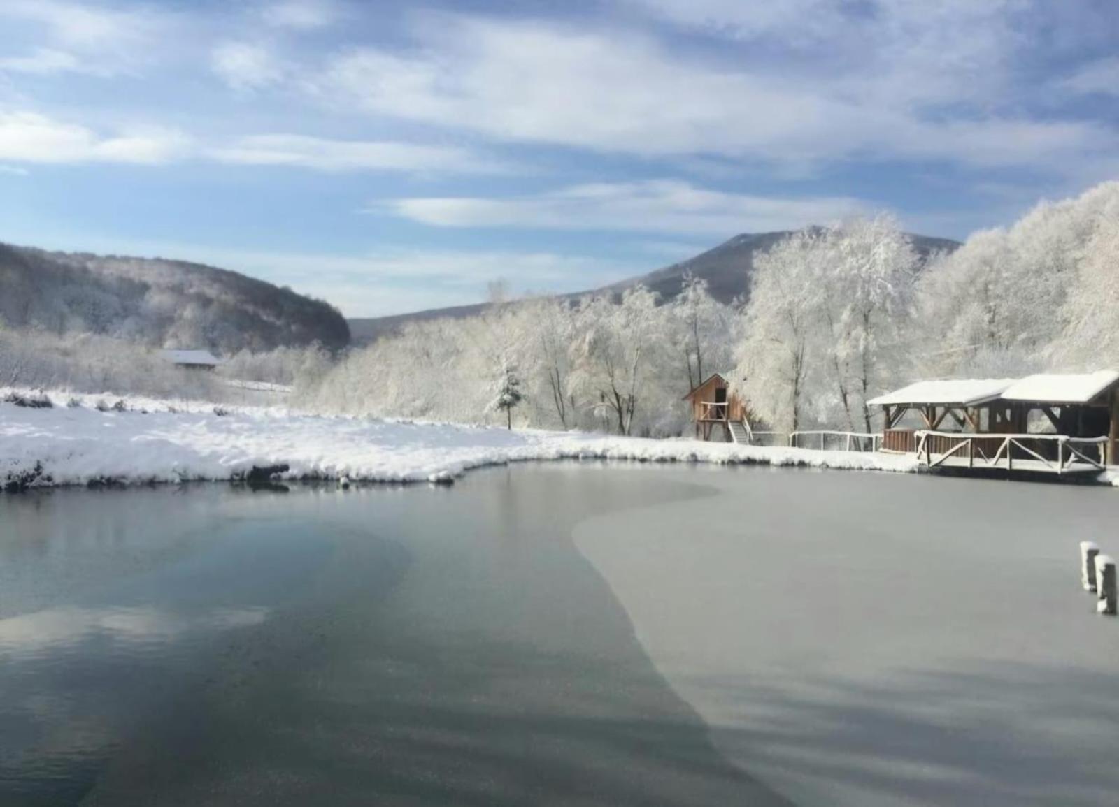 Pensiunea Cerbul - Valea Dobarlaului Bagian luar foto