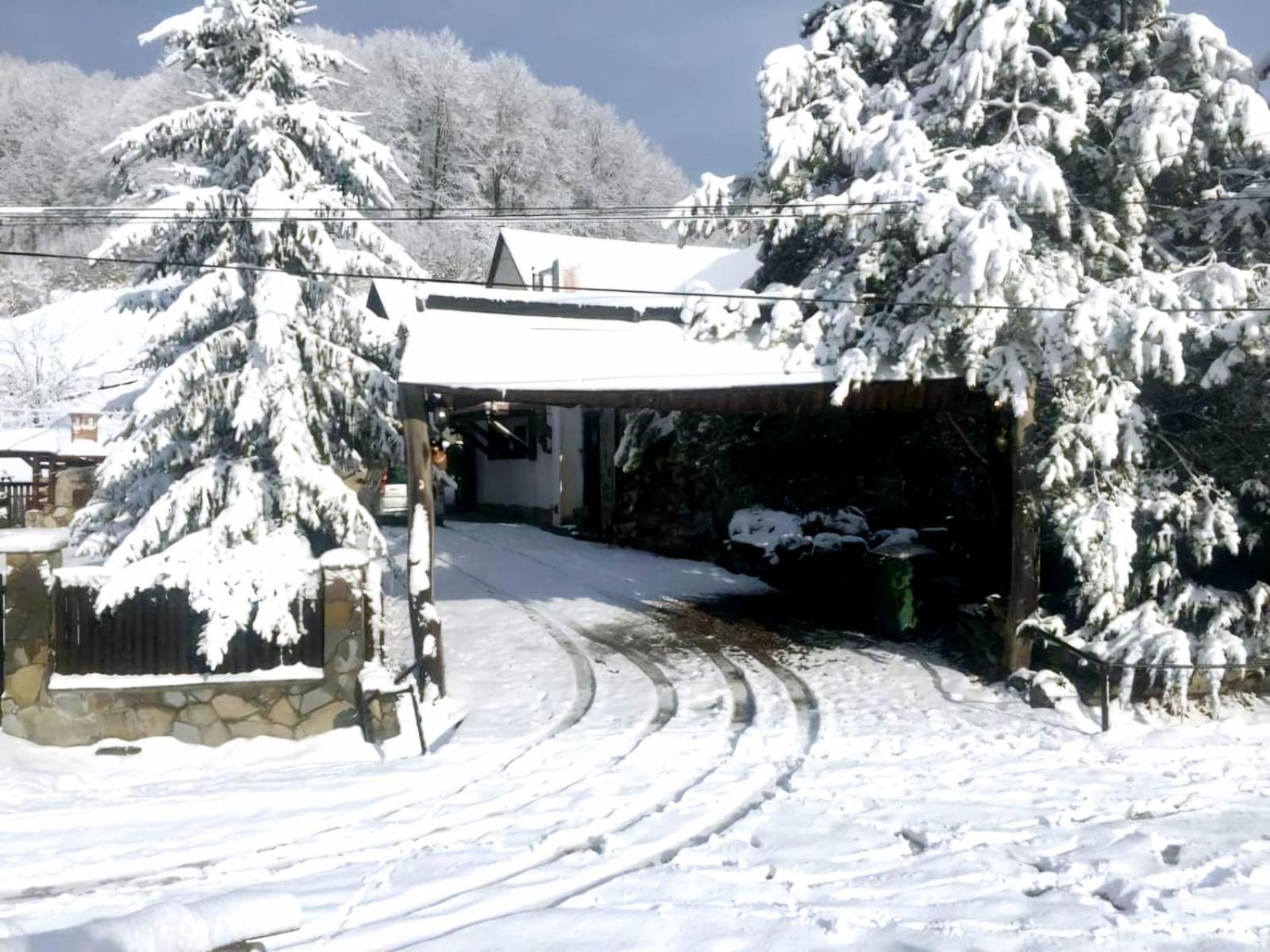 Pensiunea Cerbul - Valea Dobarlaului Bagian luar foto